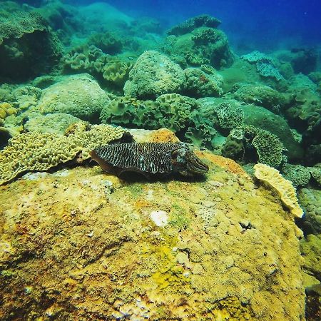Luna Beach Hotel Nilaveli Kültér fotó