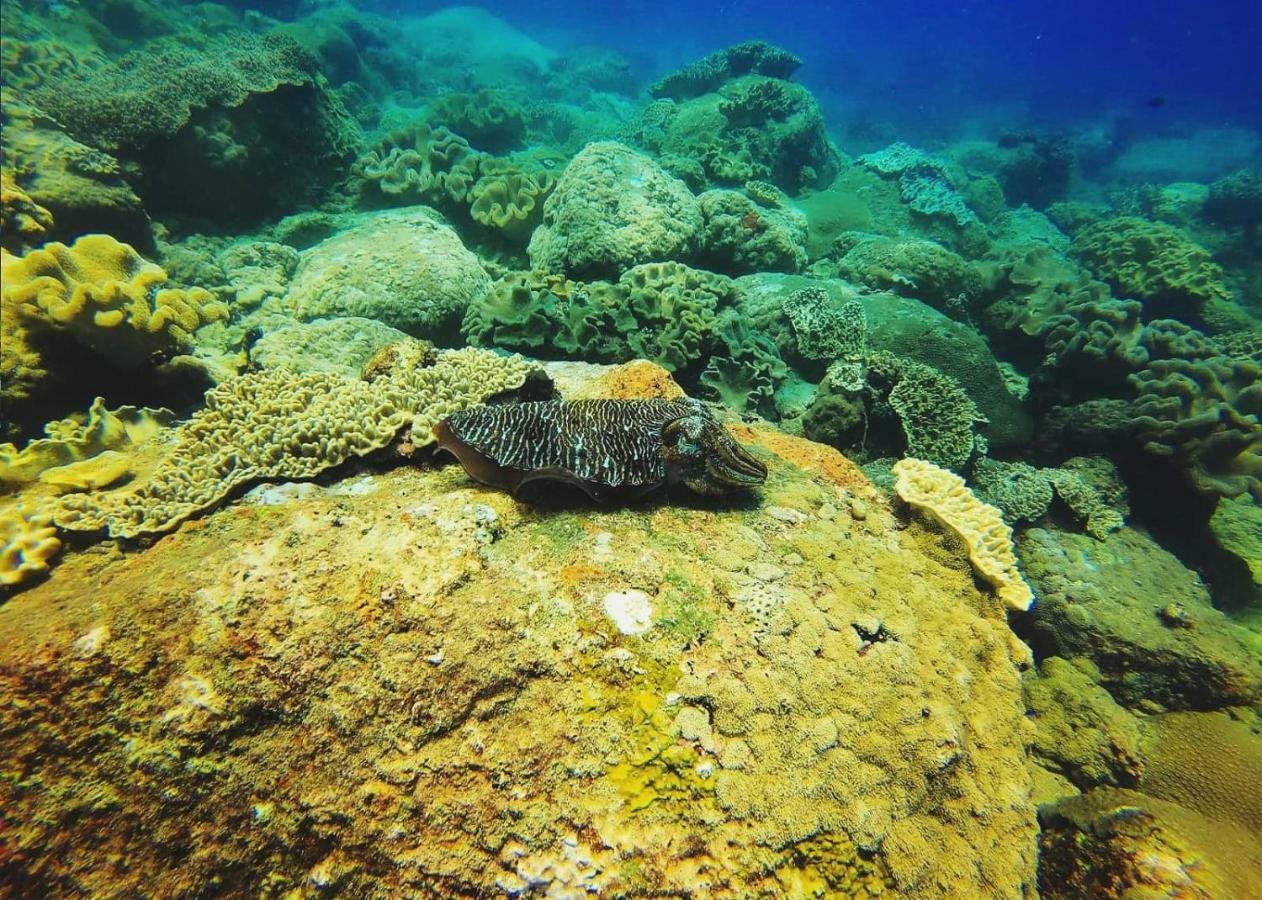 Luna Beach Hotel Nilaveli Kültér fotó